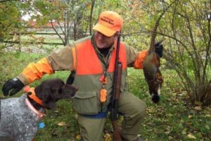 bill parker and shorthair brady thumb pheasant hunt