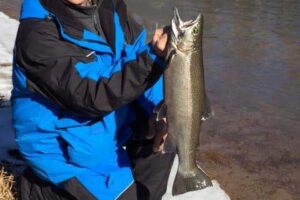 jeff nedwick au sable steelhead tawas 2017