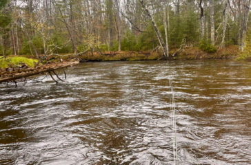 2026 Michigan Outdoor Writers Association Conference